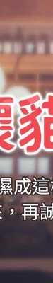 斯文坏猫猫