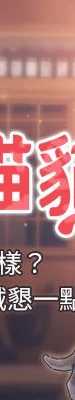 斯文坏猫猫